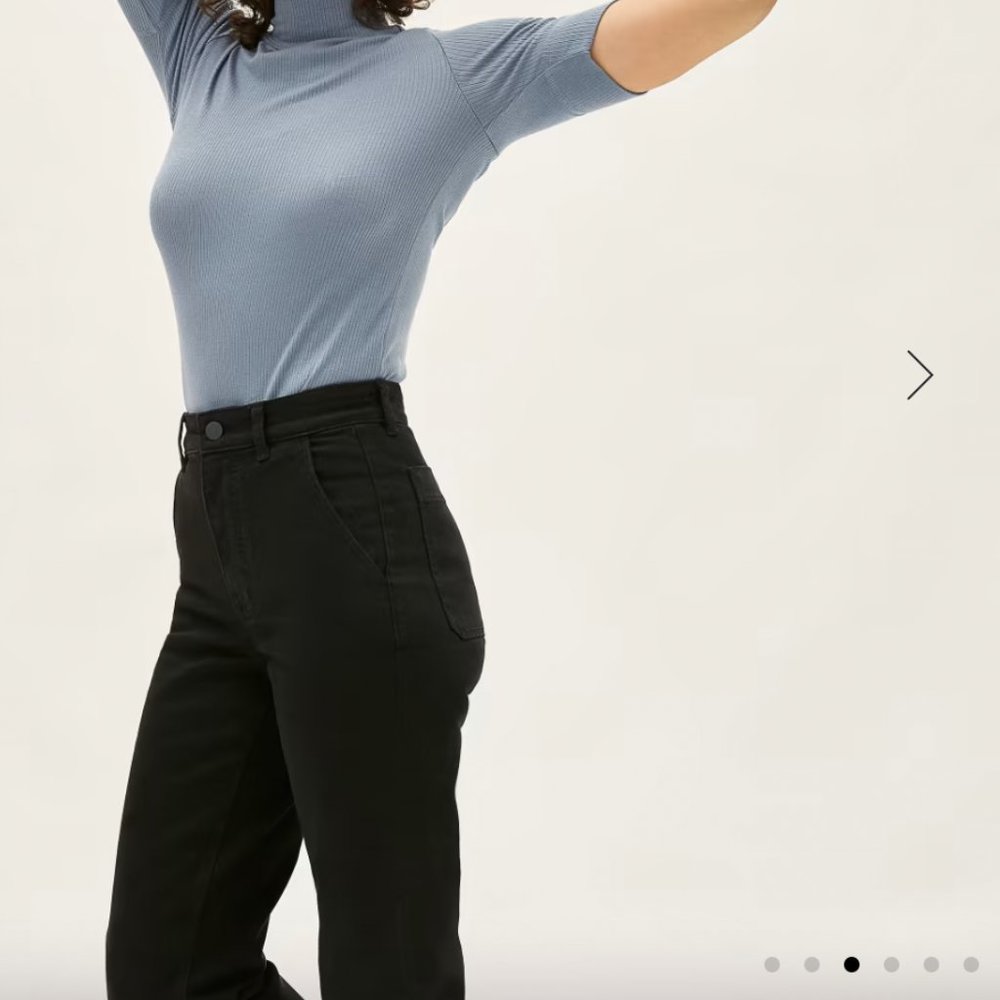 Everlane Straight Leg Crop black